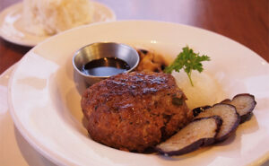 Oroshi Ponzu Hamburger Steak